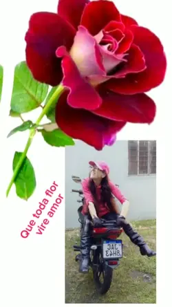 toda flor vire amor