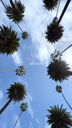 Life is short