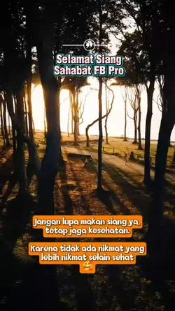 Siang FB Pro