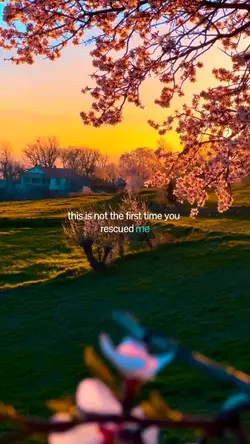 You rescued me