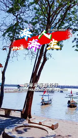 hāí hāi rénshēng海海人生