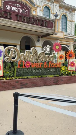 Dollywood template 