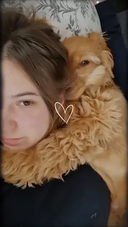 My Dog