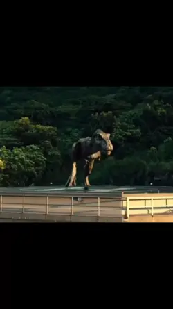 Dinosaur