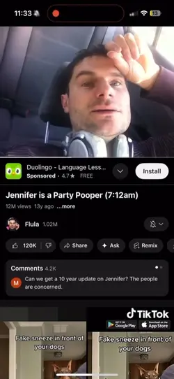 Flula core 