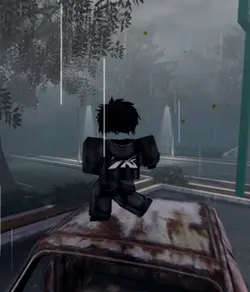 ON TOP OF CARS