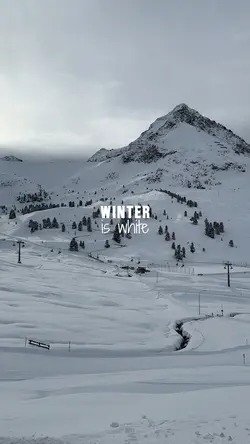 White winter 🌨️