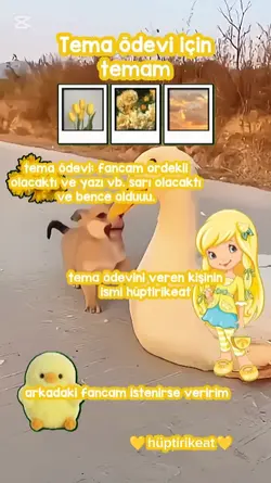 tema ödevi için tema