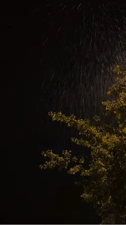 Úsala para lluvia 