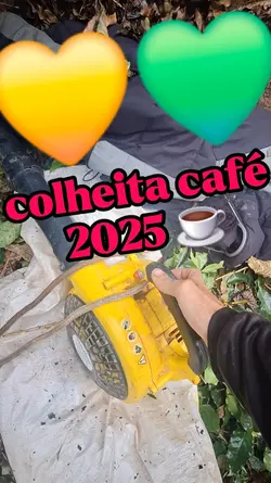 colheita café