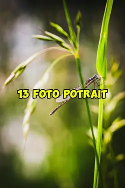 13 foto potrait
