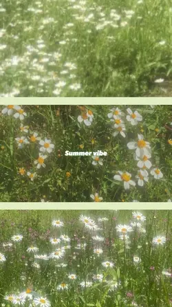 여름 여행 템플릿으로 기록하기☀️