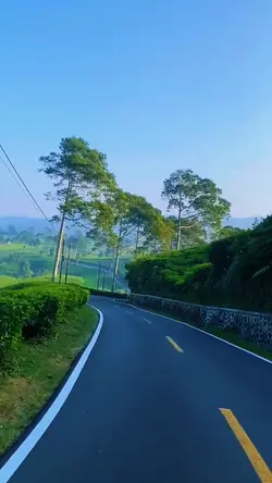 Vlog traveling