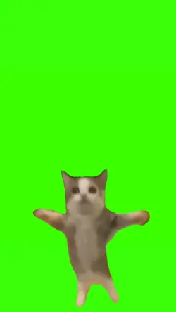 cat happy meme