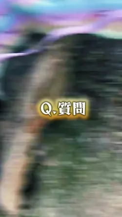 Q &A