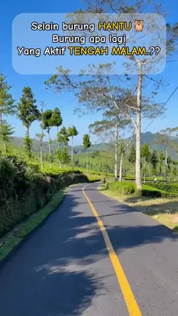 burung apa yah?