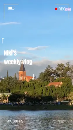 13. Vlog 