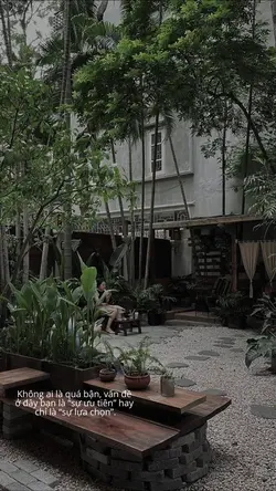 Sự lựa chọn 😀 