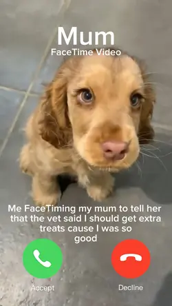 Extra Treats!