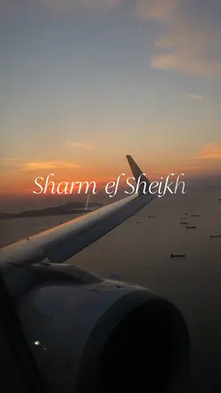 Holiday vlog