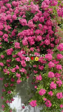 Girl Therapy Flowers