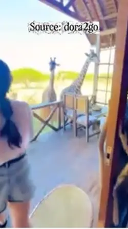 Girafffe🦒