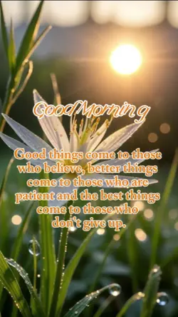 Good morning 