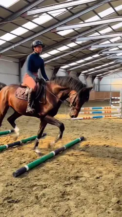 Equestrian slowmo