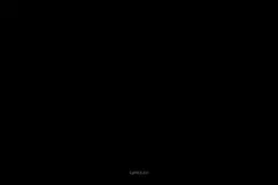 Roar Template use i