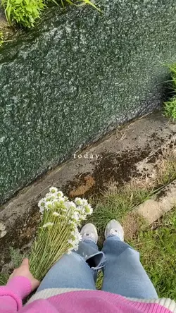 mini vlog