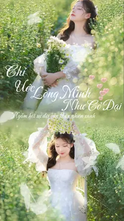 Chỉ ước