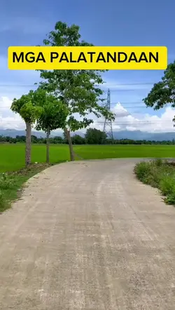 PALATANDAAN 