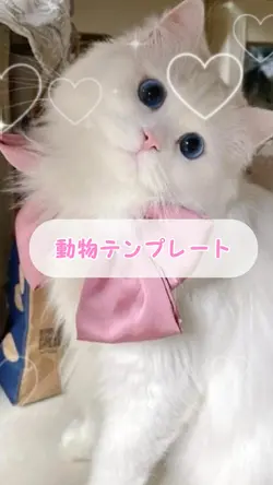 動物テンプレート