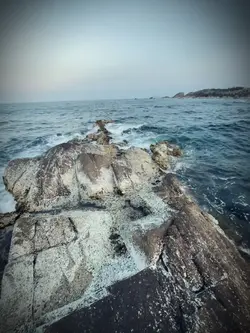 1 Video Live photos
