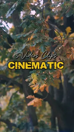 Cinematic 5 Videos