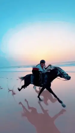TREND SLOWMO HORSE