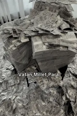 vatan,millet,para