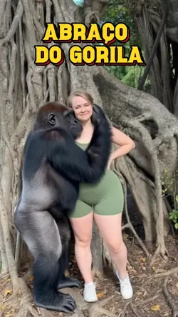 Abraço do Gorila IA