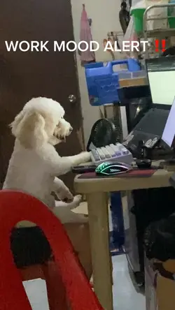WORK MOOD