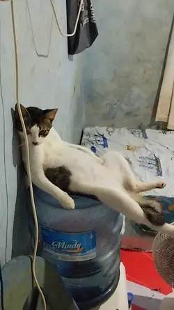 Oy Lagi Santai Kawan