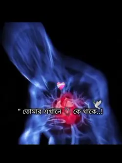 তোমার এখানে কে