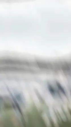 mẫu bóng đá mancity
