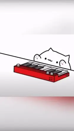 Cat rhythm 