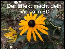 3D