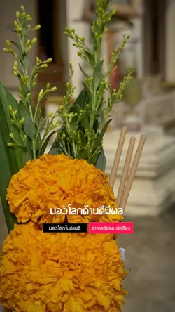 มองโลกในด้านดี