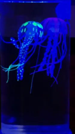 this lamp>>>>