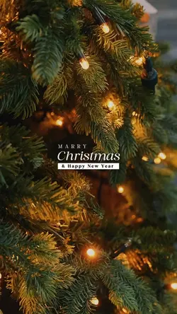 Christmas & new year