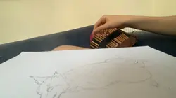 Lynx sketch timelaps