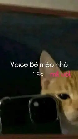 Meme 1 Ảnh