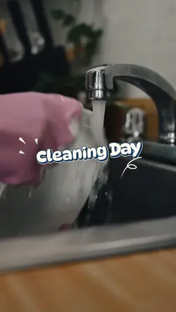 Cleaning Day